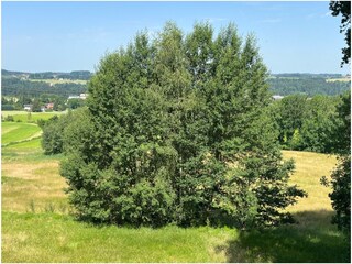 Appartamento per vacanze Hohenweiler Registrazione all'aperto 8