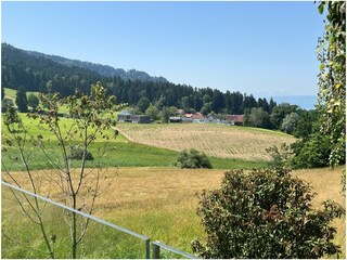 Appartamento per vacanze Hohenweiler Registrazione all'aperto 10