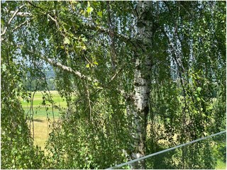 Appartamento per vacanze Hohenweiler Registrazione all'aperto 11