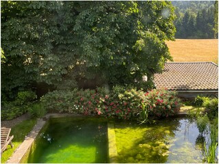 Appartamento per vacanze Hohenweiler Registrazione all'aperto 12