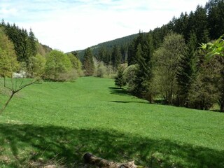 Appartement Oehrenstock Omgeving 22