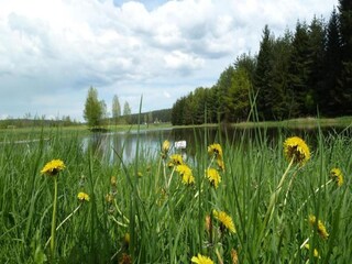 Apartamento Oehrenstock Entorno 26