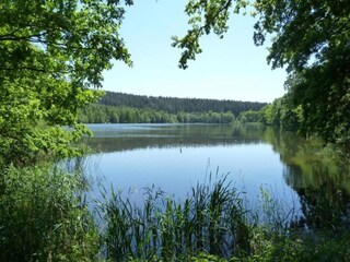Appartement Oehrenstock Environnement 29
