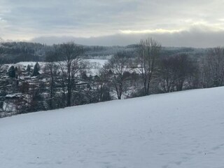 Appartement Oehrenstock Omgeving 22