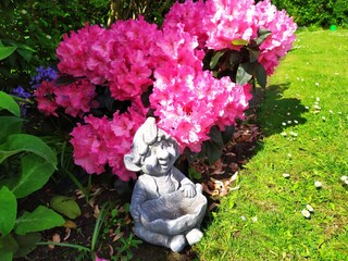 our sheltered garden