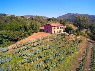 Ferienhaus Castiglione di Garfagnana Außenaufnahme 5