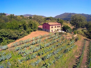 Ferienhaus Castiglione di Garfagnana Außenaufnahme 2