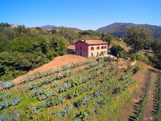 Holiday house Castiglione di Garfagnana Outdoor Recording 4