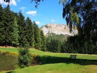 Casa de vacaciones Castiglione di Garfagnana Entorno 41