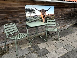 Holiday house Den Helder Outdoor Recording 5