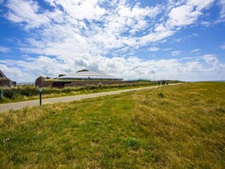 Ferienhaus Den Helder Umgebung 23