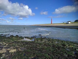 Maison de vacances Den Helder Environnement 19