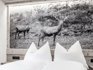 Schlafzimmer Hirsch