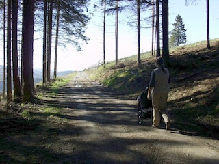 Goldroutenweg "Sommerseite"