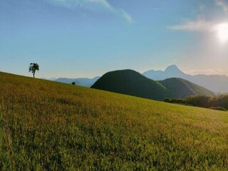 Villa San Vittore Environment 25