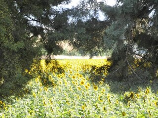 Villa San Vittore Ambiente 34