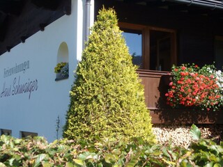 Ferienwohnungen Haus Schwaiger, Fieberbrunn