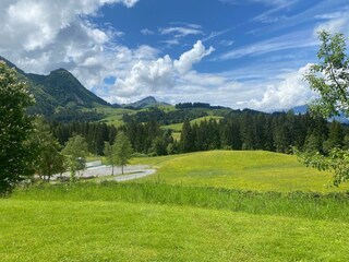 Aussicht vom Garten