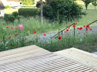 Terrasse Frühling und Aussentreppengeländer