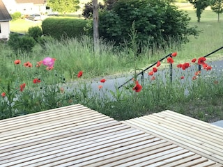 Terrasse Frühling und Aussentreppengeländer
