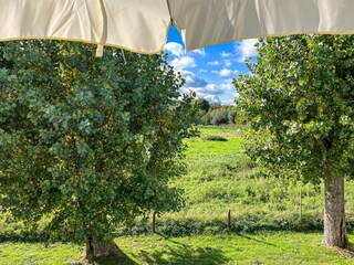 Balkon mit Ausblick in den Haff