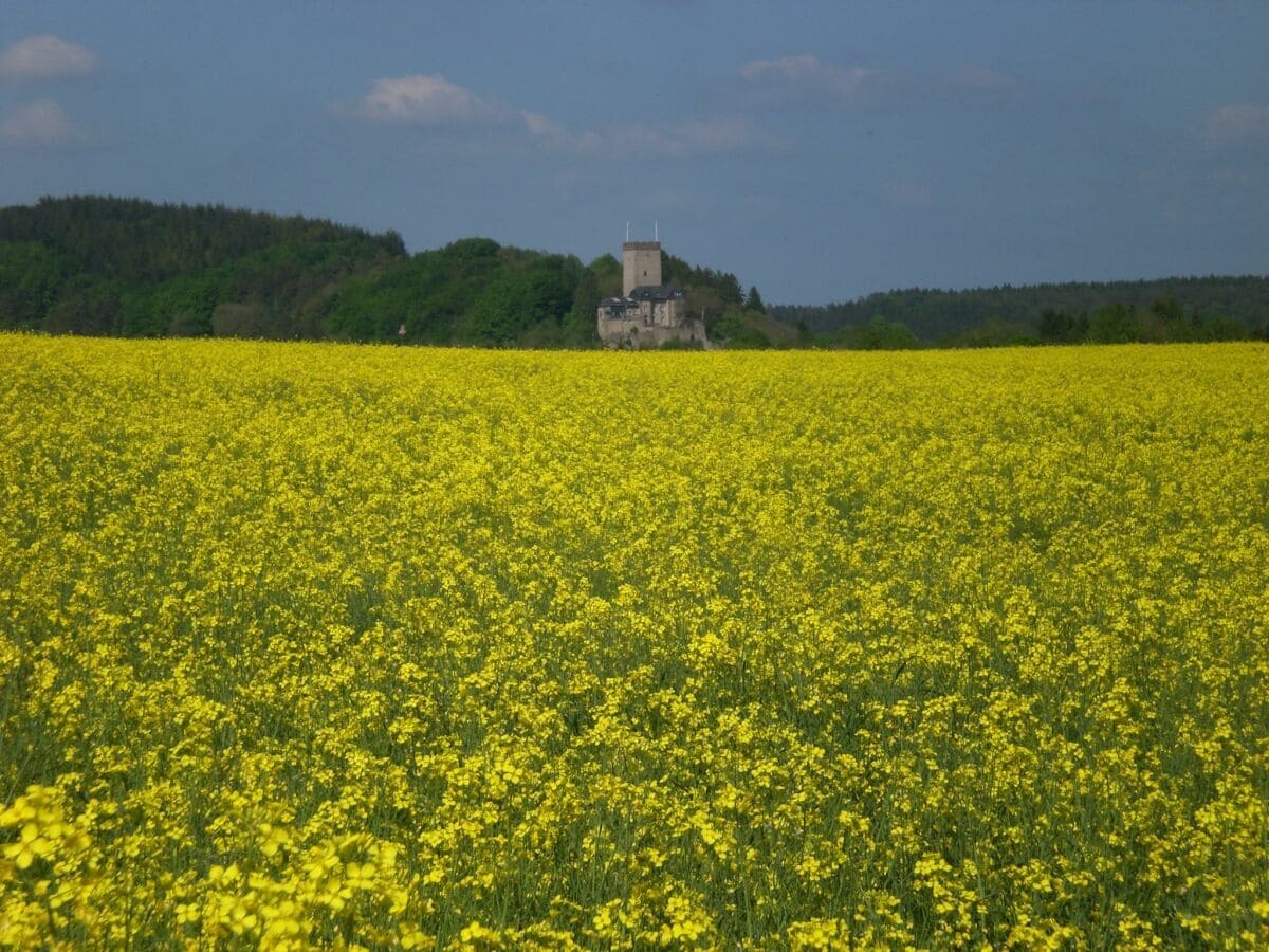 Burg Kerpen