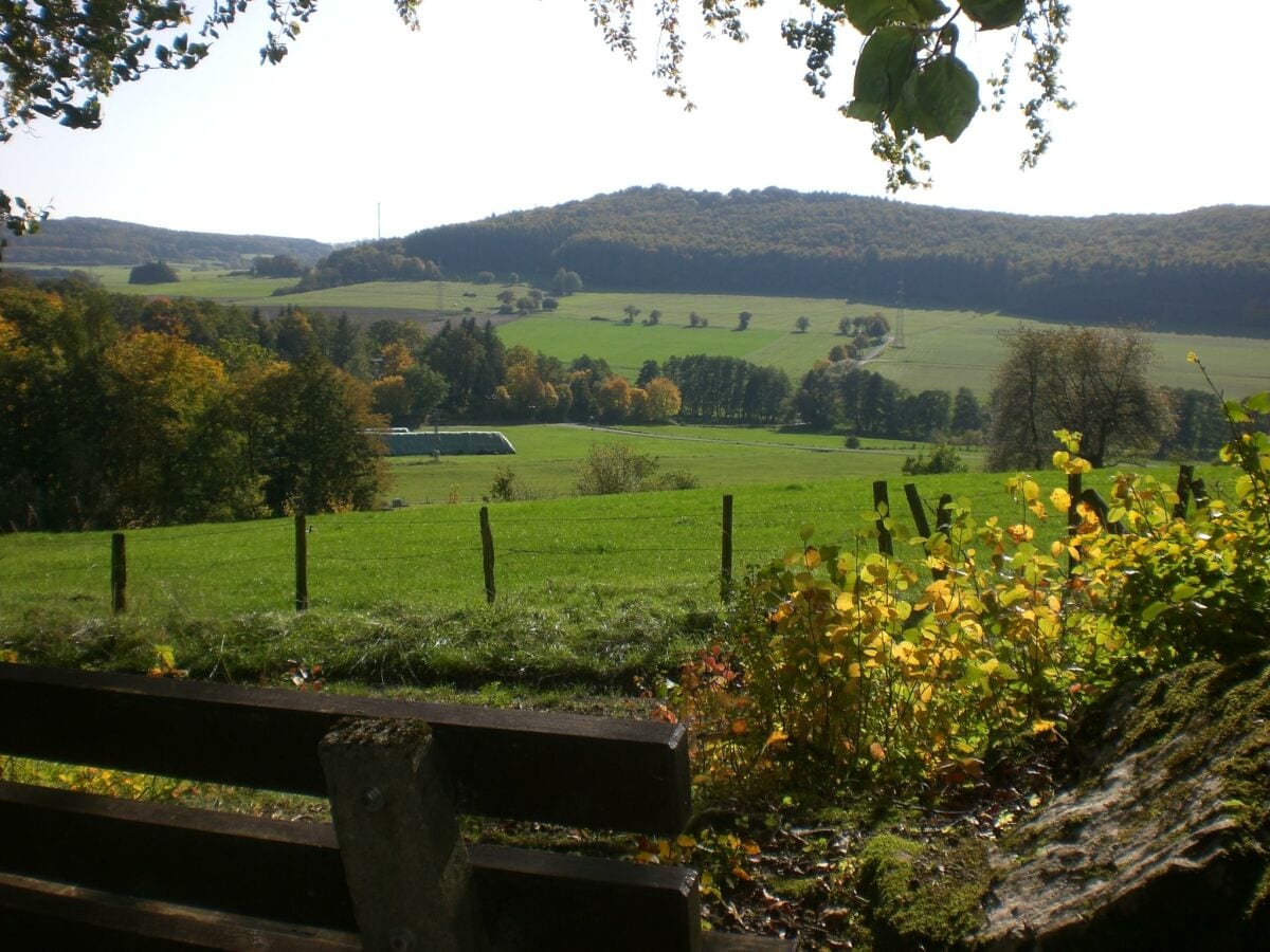 Blick auf den Arensberg