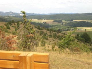 Wacholder Heide bei Niederehe