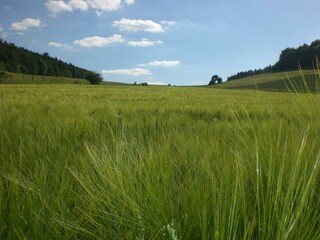 herrliche Eifellandschaft