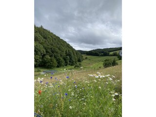 Blick von Kaltenborn zur Hohen Acht