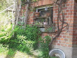 Ferienhaus Großbreitenbach Außenaufnahme 9