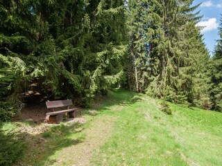 Ferienhaus Großbreitenbach Außenaufnahme 13