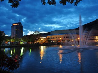 Appartamento per vacanze Suhl Ambiente 19