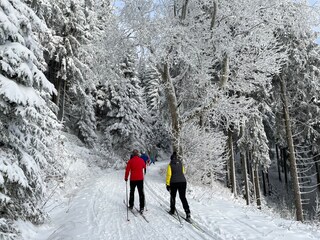 Appartamento per vacanze Suhl Ambiente 24