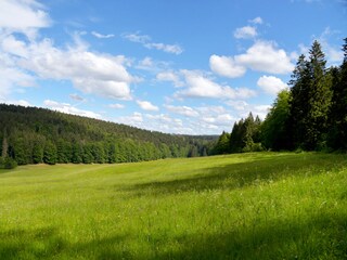 Appartamento per vacanze Suhl Ambiente 20