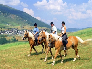 Chalet Ladis Umgebung 25