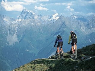 Chalet Ladis Environment 25