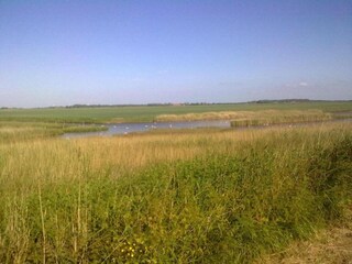 Vakantiehuis Wissenkerke Omgeving 11