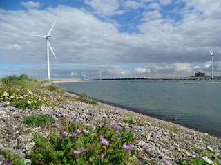 Ferienhaus Wissenkerke Umgebung 29