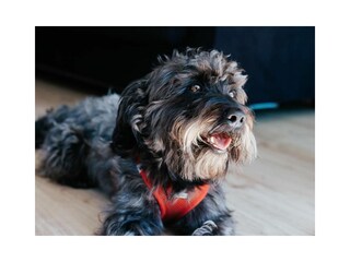 Vakantieappartement Lohme Buitenaudio-opname 9