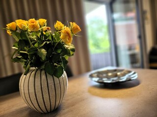 Vakantieappartement Dahme Buitenaudio-opname 7