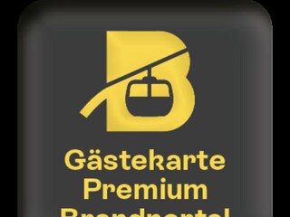 Chalet Brand in Vorarlberg  38