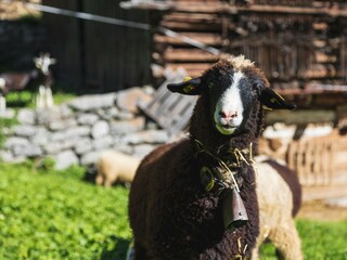 Ferienhaus Schruns Umgebung 40