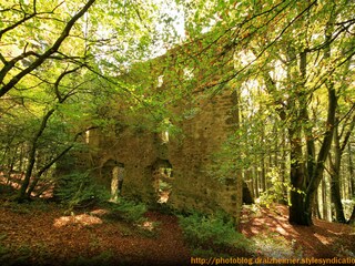 Burgruiene Freudenkoppe, Neroth