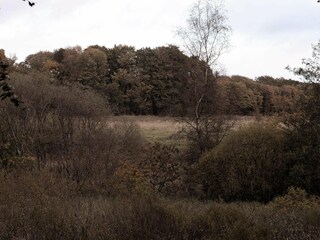 Casa per le vacanze Hovborg  17