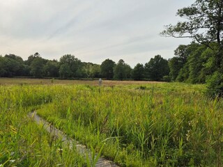 Maison de vacances Hovborg  11