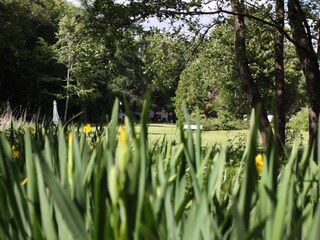 Maison de vacances Hovborg  12