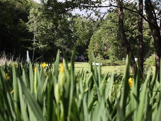 Vakantiehuis Hovborg  20