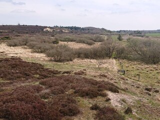Ferienhaus Hovborg  32