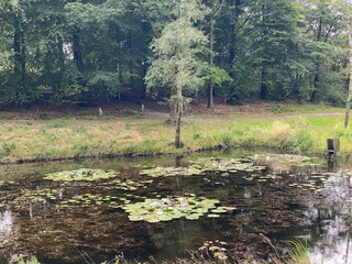 Maison de vacances Hovborg  39